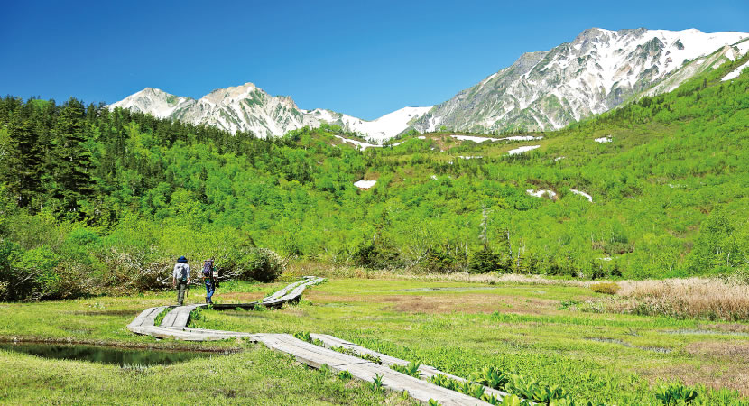 栂池自然園