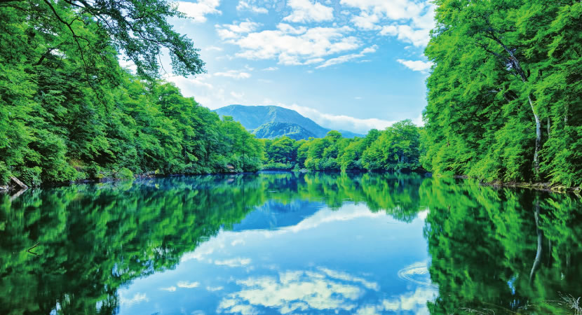 鎌池