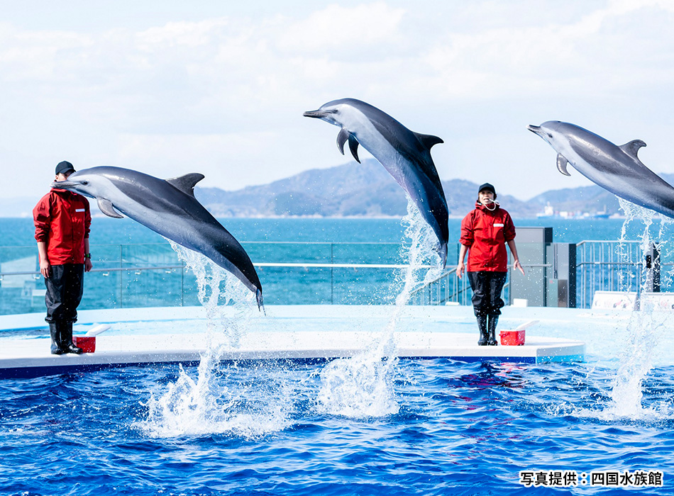 四国水族館
