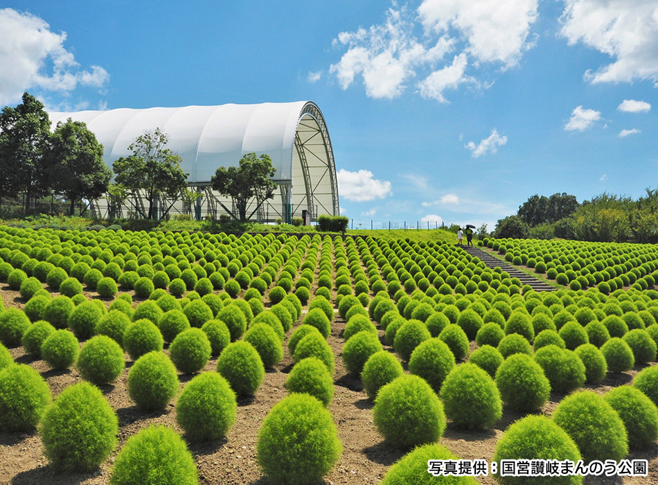 国営讃岐まんのう公園