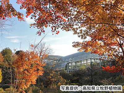 高知県立牧野植物園