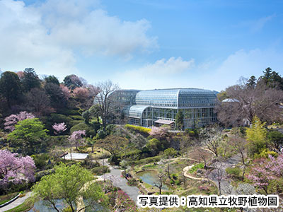 高知県立牧野植物園