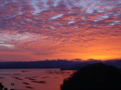 お部屋からの眺望