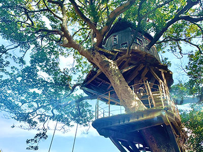 ツリーハウス