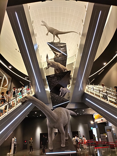 福井県立恐竜博物館通常入館には予約が必要ですが当プランは予約なしで入館ＯＫ！