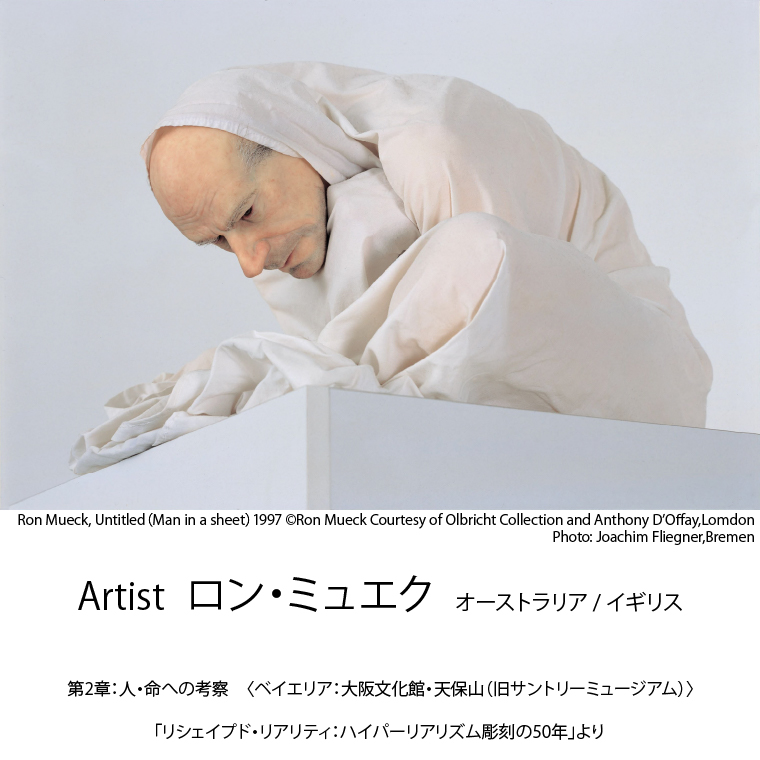 作品イメージ一例 Artist ロン・ミュエク　オーストラリア / イギリス 第2章：人・命への考察 〈ベイエリア：大阪文化館・天保山（旧サントリーミュージアム）〉「リシェイプド・リアリティ：ハイパーリアリズム彫刻の50年」より