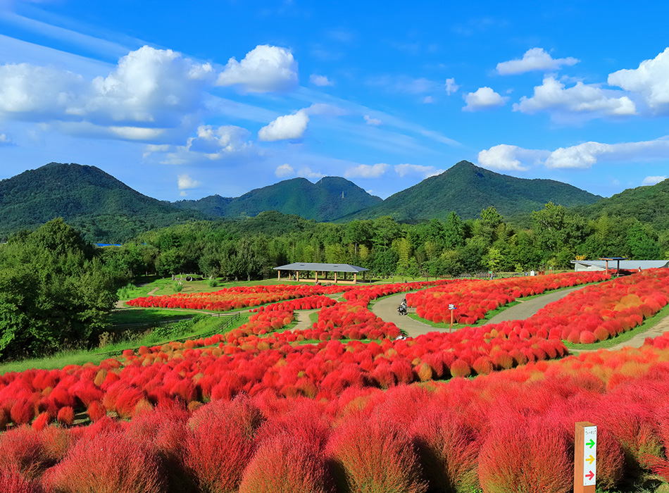 国営讃岐まんのう公園