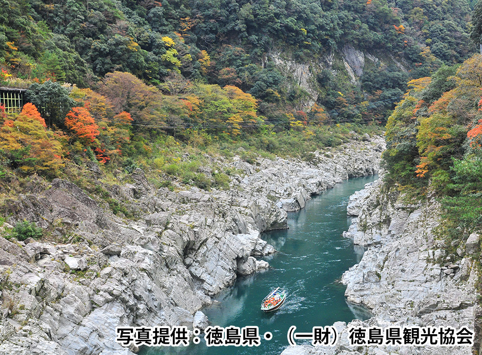 大歩危観光遊覧船