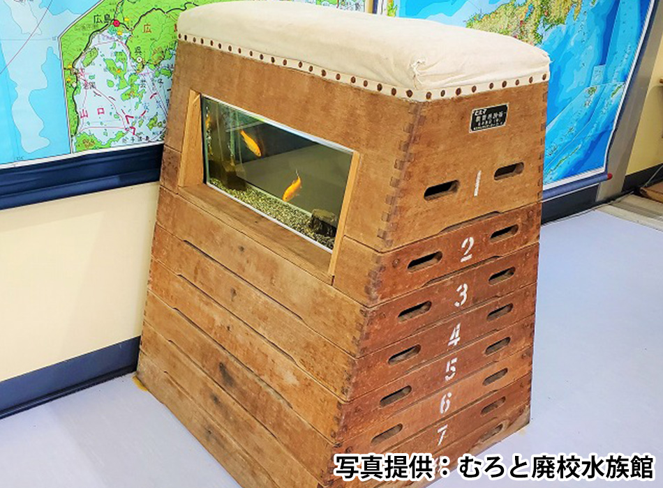 むろと廃校水族館