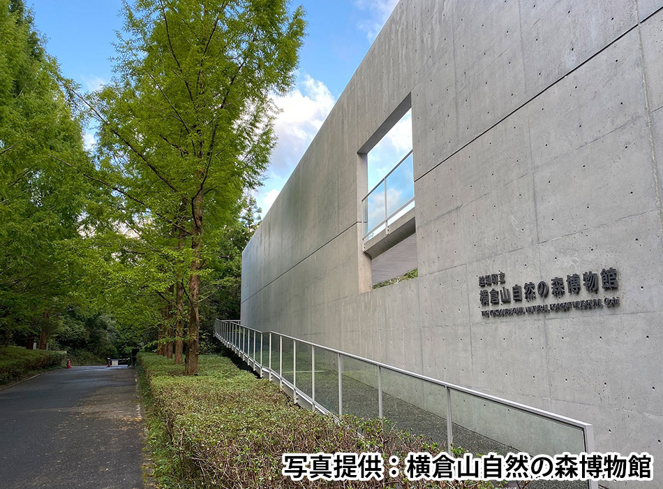 横倉山自然の森博物館