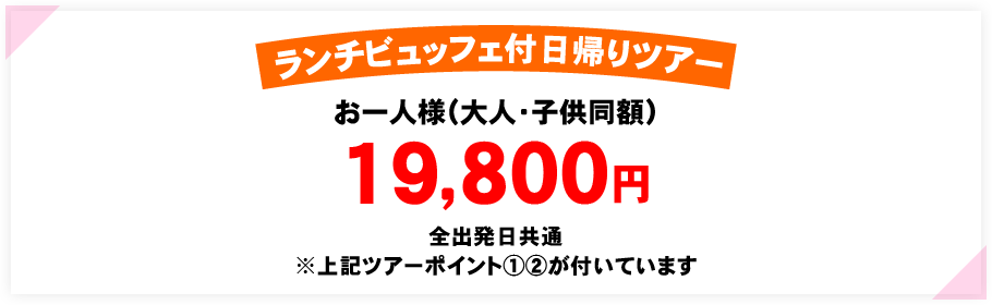 お一人様（大人・子供同額）19,800円