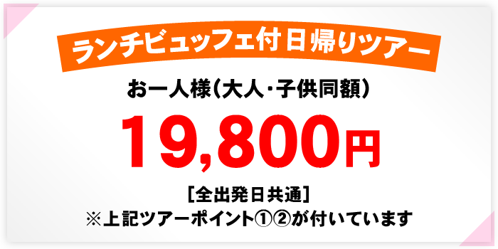 お一人様（大人・子供同額）19,800円