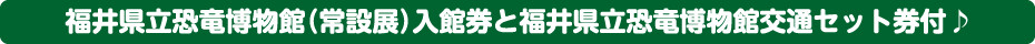 福井県立恐竜博物館（常設展）入館券と福井県立恐竜博物館交通セット券付♪