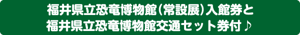 福井県立恐竜博物館（常設展）入館券と福井県立恐竜博物館交通セット券付♪