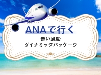 【ANA】航空+宿泊
