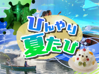 クールケーション
