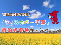 �f�B�X�J�o�[��t �h���җD�҃L�����y�[��!