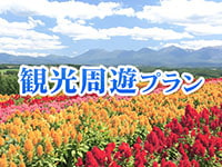 観光周遊プラン