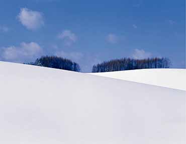 �X�L�[�E�X�m�{