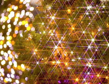 �L�O���̂����ĂȂ������邨�h