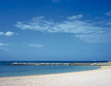 ��o�[�Q������