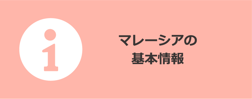 基本情報