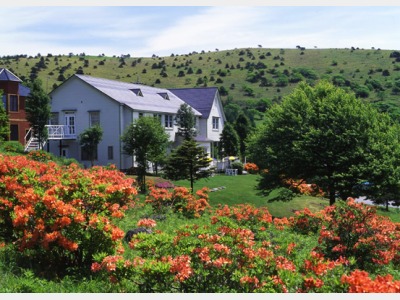 ���]�[�g�C���E�C���Y�̊O��