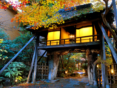 �R�΂ȕ��������̊O��