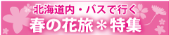 �ԗ����W