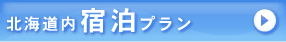 �k�C�����h���v����