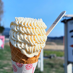ソフトクリームの写真