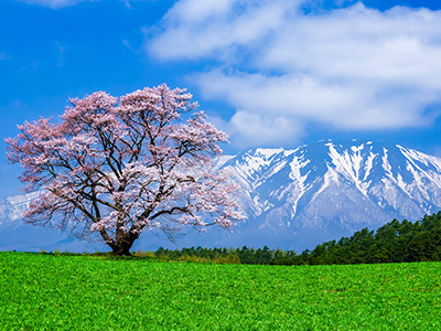 岩手県 小岩井農場