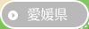 →愛媛県