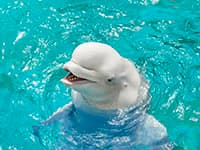 ベイエリア