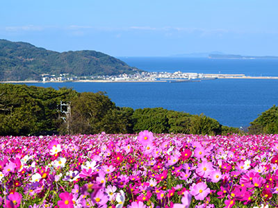 能古島アイランドパーク