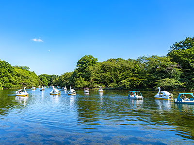 井の頭恩賜公園