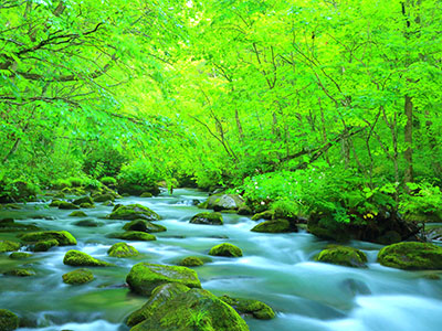 奥入瀬渓流