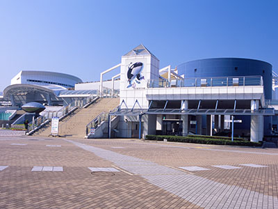 名古屋港水族館