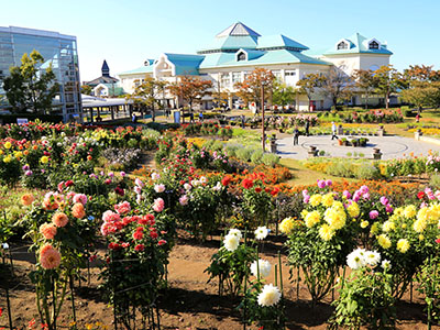 道の駅新潟ふるさと村