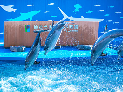 仙台うみの杜水族館