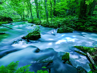 青森県 奥入瀬渓流
