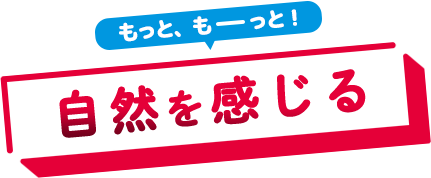 もっと、もーっと！自然を感じる