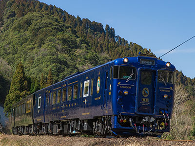 特急 かわせみ やませみの写真