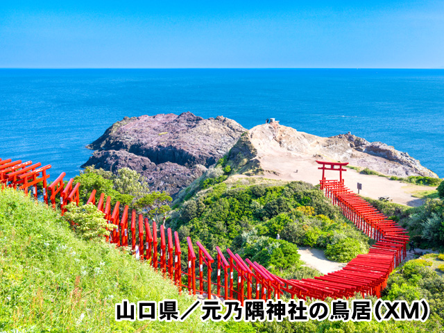 山口県／元乃隅神社の鳥居