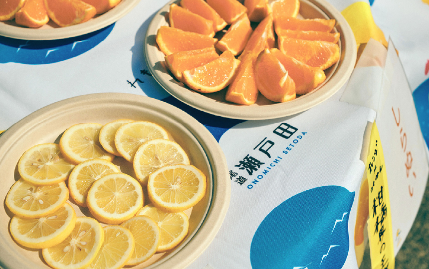 せとだレモンマラソン