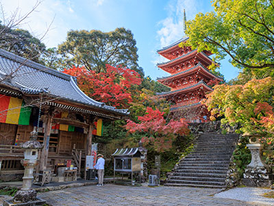 竹林寺