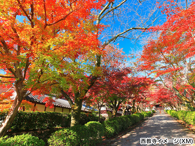 長浜別院 大通寺