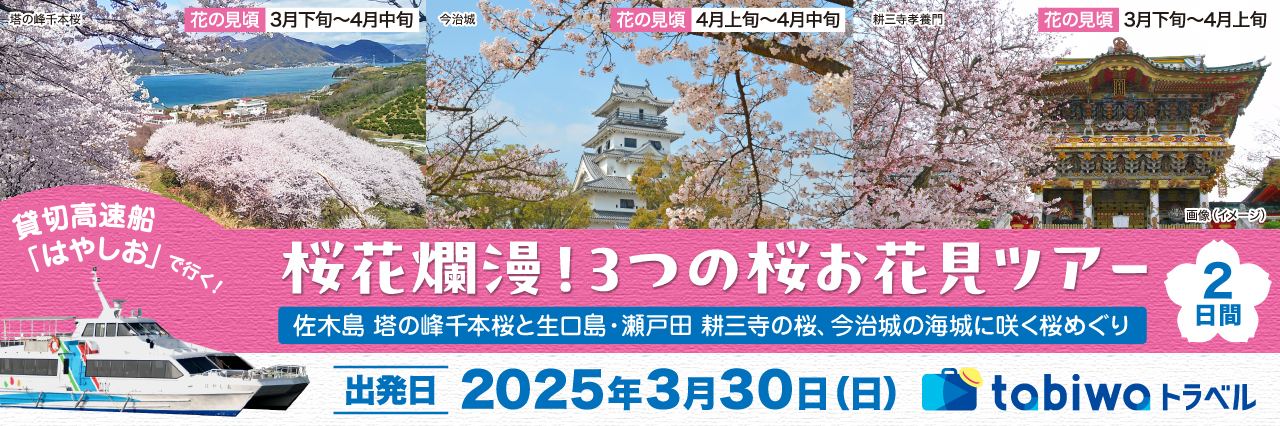 貸切高速船「はやしお」で行く！桜花爛漫！3つの桜お花見ツアー