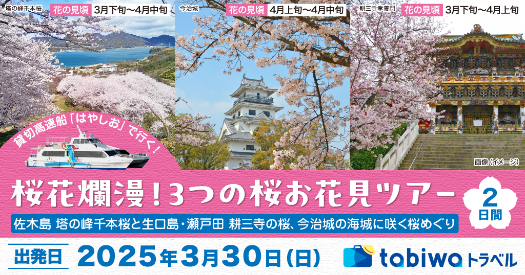 貸切高速船「はやしお」で行く！桜花爛漫！3つの桜お花見ツアー