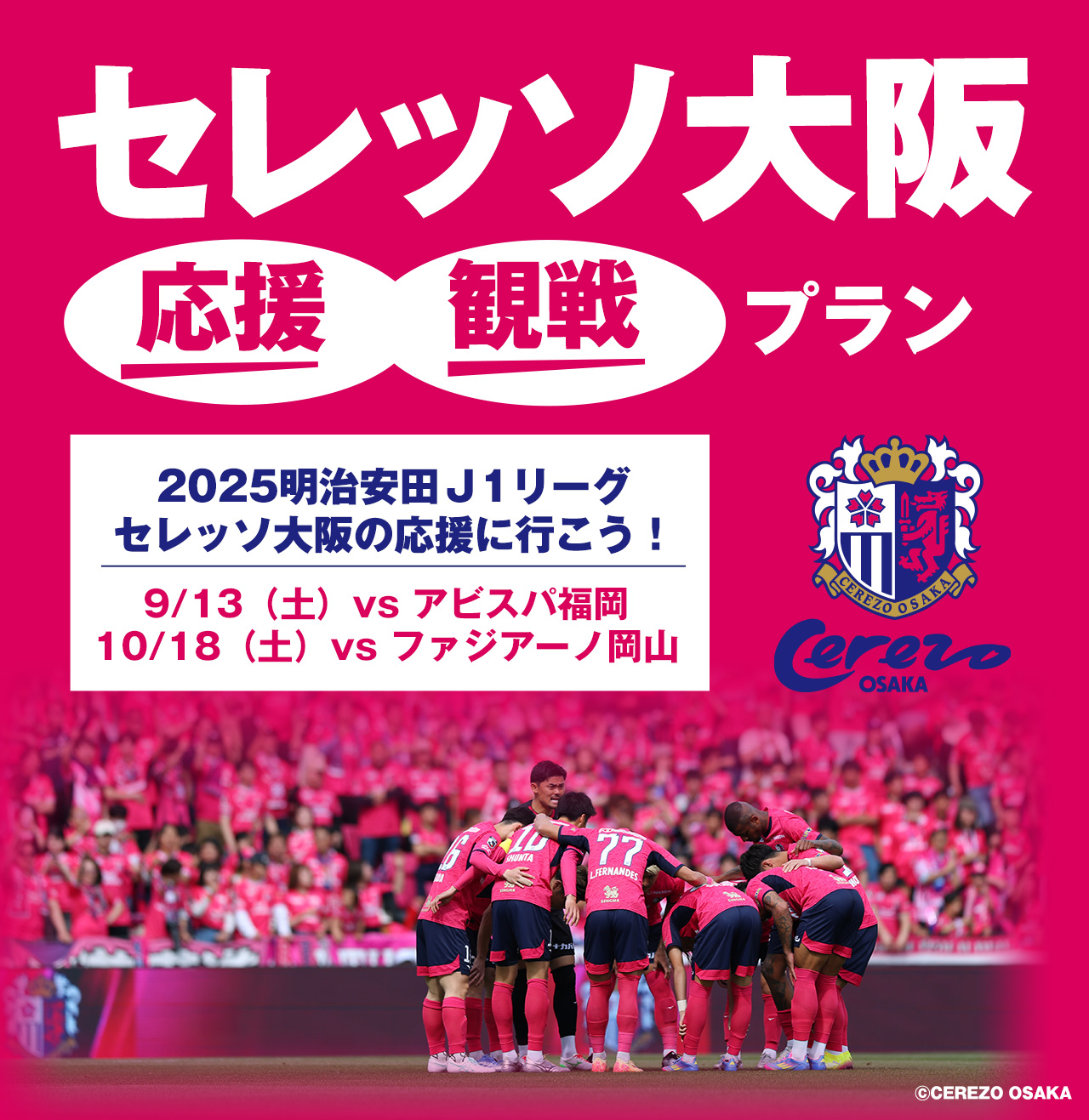 tabiwaトラベル　セレッソ大阪　応援・観戦ツアー